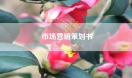 市场营销策划书