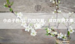 小点子创业：巧妙发掘，成就你的大事业