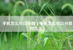 手机怎么可以分屏（手机怎么可以分屏好几个）