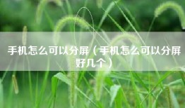 手机怎么可以分屏（手机怎么可以分屏好几个）