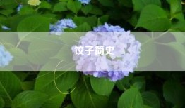 饺子简史