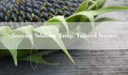 Sourcing Solutions & Tailored Services
