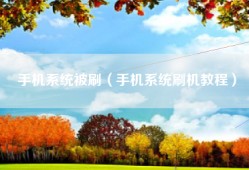手机系统被刷（手机系统刷机教程）
