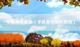 手机系统被刷（手机系统刷机教程）