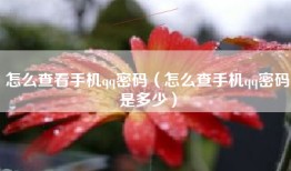 怎么查看手机qq密码（怎么查手机qq密码是多少）