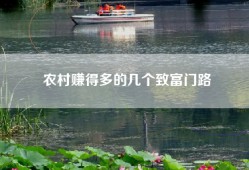 农村赚得多的几个致富门路