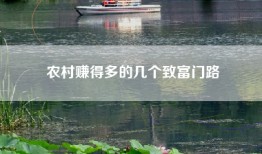 农村赚得多的几个致富门路