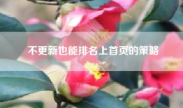 不更新也能排名上首页的策略