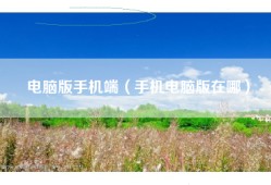 电脑版手机端（手机电脑版在哪）
