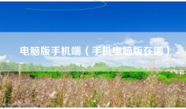 电脑版手机端（手机电脑版在哪）