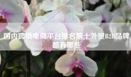 国内跨境电商平台排名前十外贸B2B品牌都有哪些
