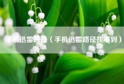 手机迅雷路径（手机迅雷路径找不到）