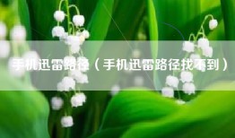 手机迅雷路径（手机迅雷路径找不到）