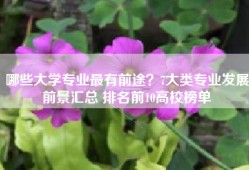 哪些大学专业最有前途？7大类专业发展前景汇总 排名前10高校榜单