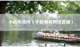 手机电视网（手机电视网络直播）