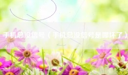 手机总没信号(手机总没信号是哪坏了)