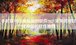 手机版可以找原图的软件2022 实用的可以找原图的软件推荐