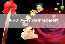 身份之谜—百度是中国公司吗？