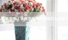 手机节电（手机节电模式黑屏怎么唤醒）