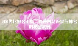 SEO优化排名工具：提升网站流量与排名的秘密武器