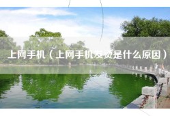 上网手机（上网手机发烫是什么原因）