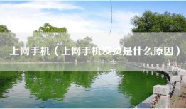 上网手机（上网手机发烫是什么原因）