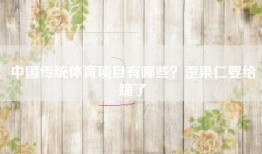 中国传统体育项目有哪些？歪果仁要给跪了