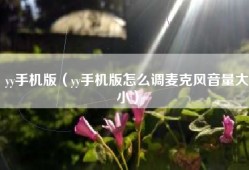 yy手机版（yy手机版怎么调麦克风音量大小）