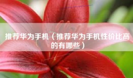推荐华为手机（推荐华为手机性价比高的有哪些）
