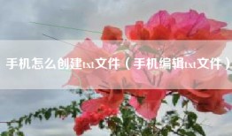 手机怎么创建txt文件（手机编辑txt文件）