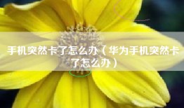 手机突然卡了怎么办（华为手机突然卡了怎么办）