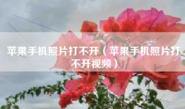 苹果手机照片打不开（苹果手机照片打不开视频）