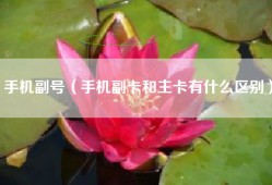 手机副号（手机副卡和主卡有什么区别）