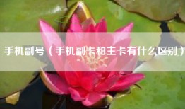 手机副号（手机副卡和主卡有什么区别）