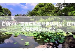 白杨SEO：最近百度删除低质网站，还有必要做网站SEO吗？
