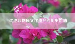 试述非物质文化遗产的历史价值