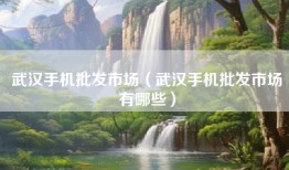 武汉手机批发市场（武汉手机批发市场有哪些）