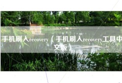 手机刷入recovery（手机刷入recovery工具中文版）