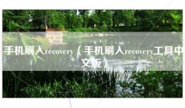 手机刷入recovery（手机刷入recovery工具中文版）
