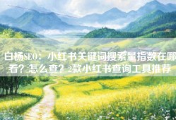 白杨SEO：小红书关键词搜索量指数在哪看？怎么查？2款小红书查询工具推荐