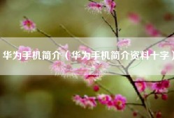 华为手机简介（华为手机简介资料十字）