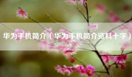 华为手机简介（华为手机简介资料十字）