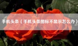 手机头条（手机头条图标不显示怎么办）