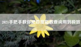 2021手把手教你把百度指数查询用到极致