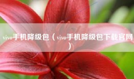 vivo手机降级包（vivo手机降级包下载官网）