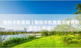 魅族手机黑屏（魅族手机黑屏但是有声音怎么解决）