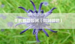 手机微信如何（如何微信）