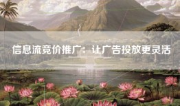 信息流竞价推广：让广告投放更灵活
