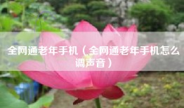 全网通老年手机（全网通老年手机怎么调声音）