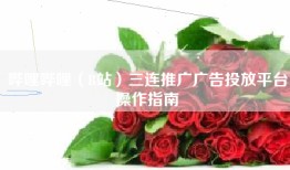 哔哩哔哩（B站）三连推广广告投放平台操作指南